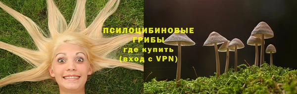 гашик Аркадак